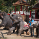 Imagen para el artículo titulado Un bebé elefante de un zoo en Tailandia muere días después de ser forzado a bailar para grupos de turistas
